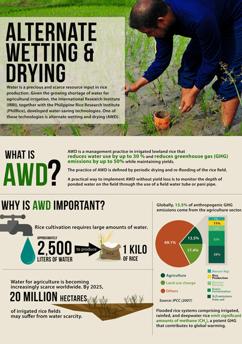 AWD infographic explaining the alternate wetting and drying cycle