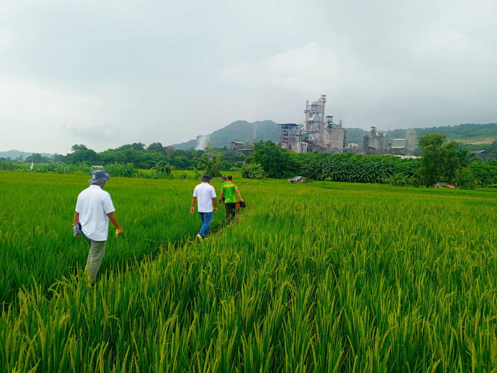 Sustainable Farming